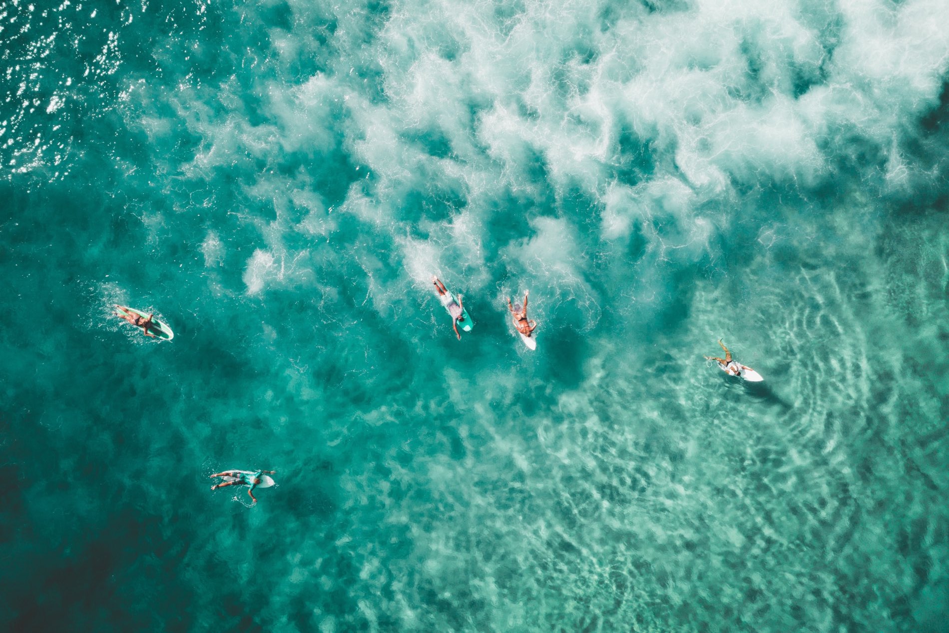 Surf’s Up! the National Competition of Surfing and Paddleboarding