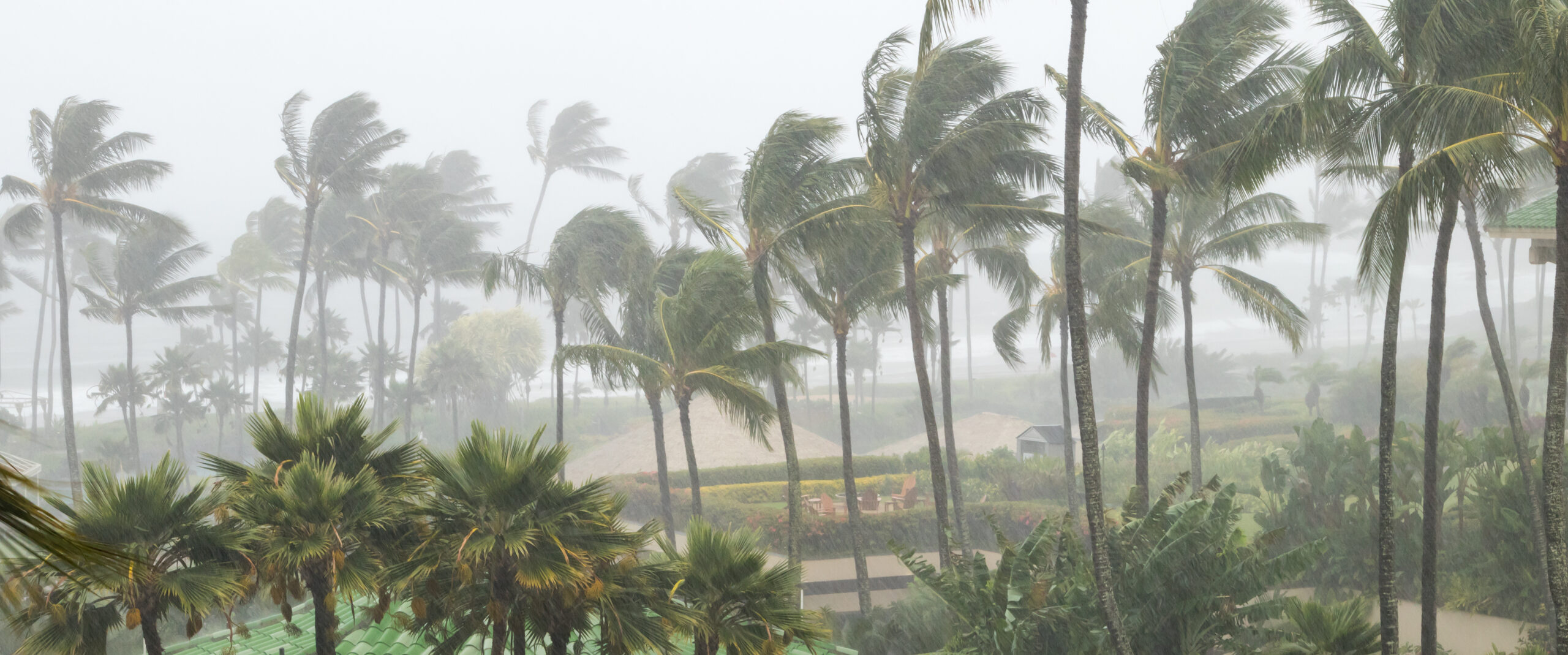 hurricane-season-in-los-cabos