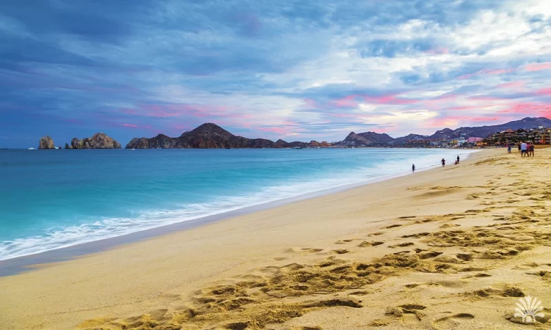 Destino-Los-Cabos-magazine-blog_when-to-visit-la-marina-los-cabos_04