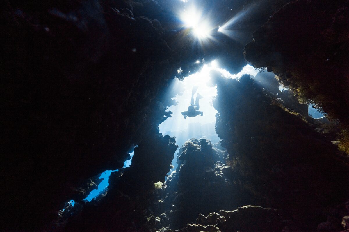 best-scuba-diving-spots-in-baja