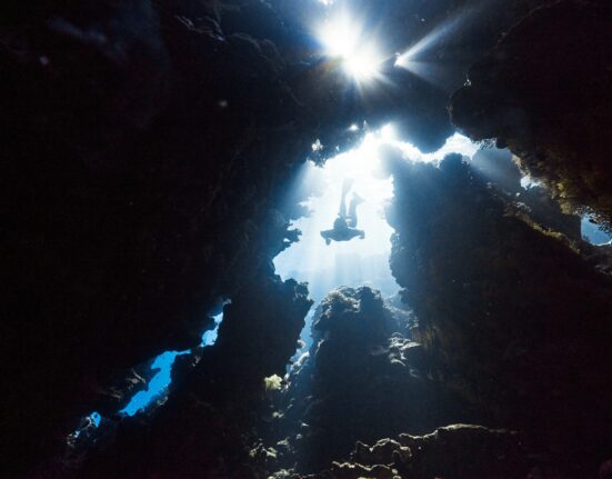 best-scuba-diving-spots-in-baja