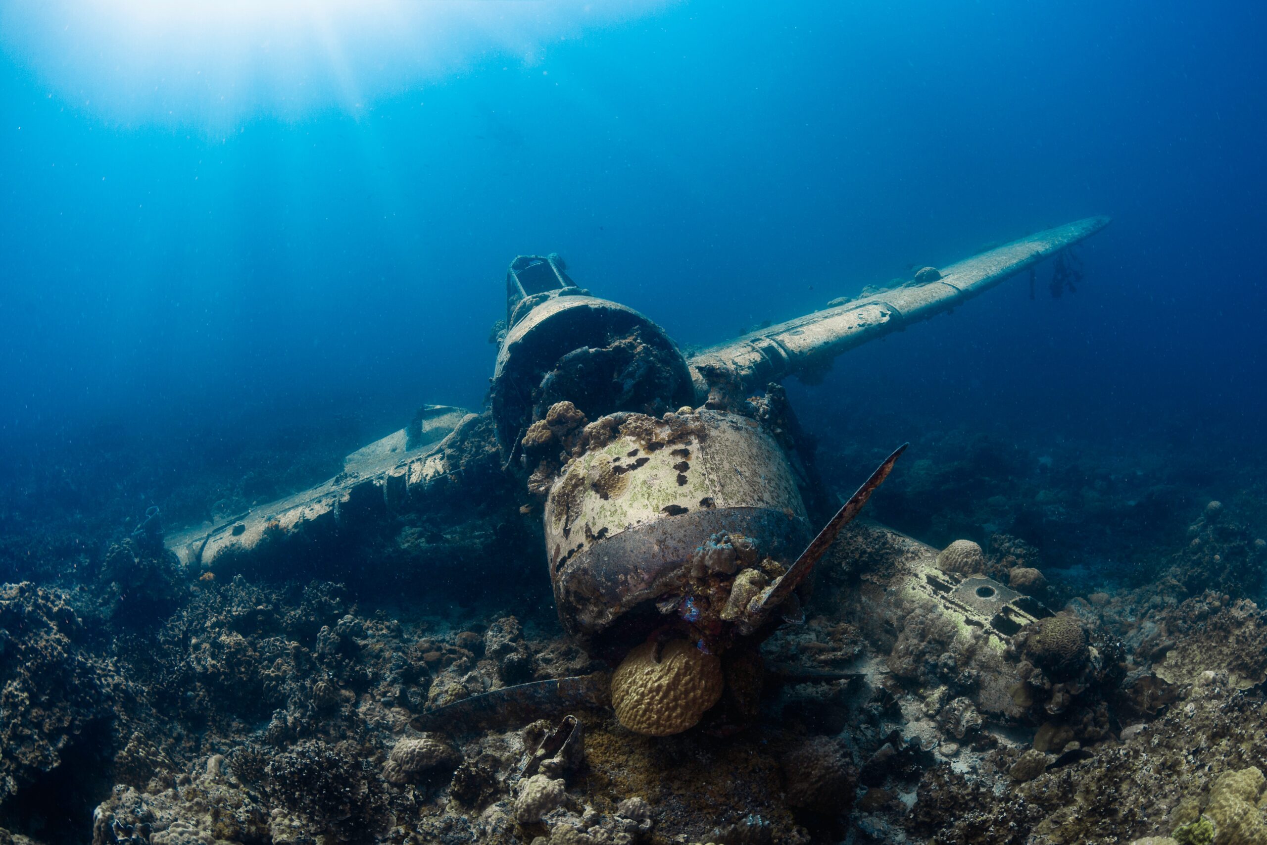 airplane-wreck-diving-los-cabos