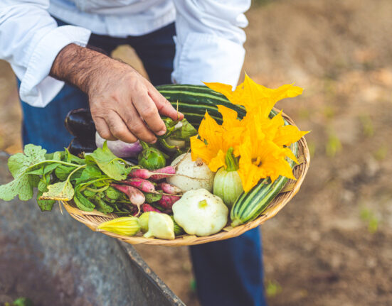 clean-eating-los-cabos