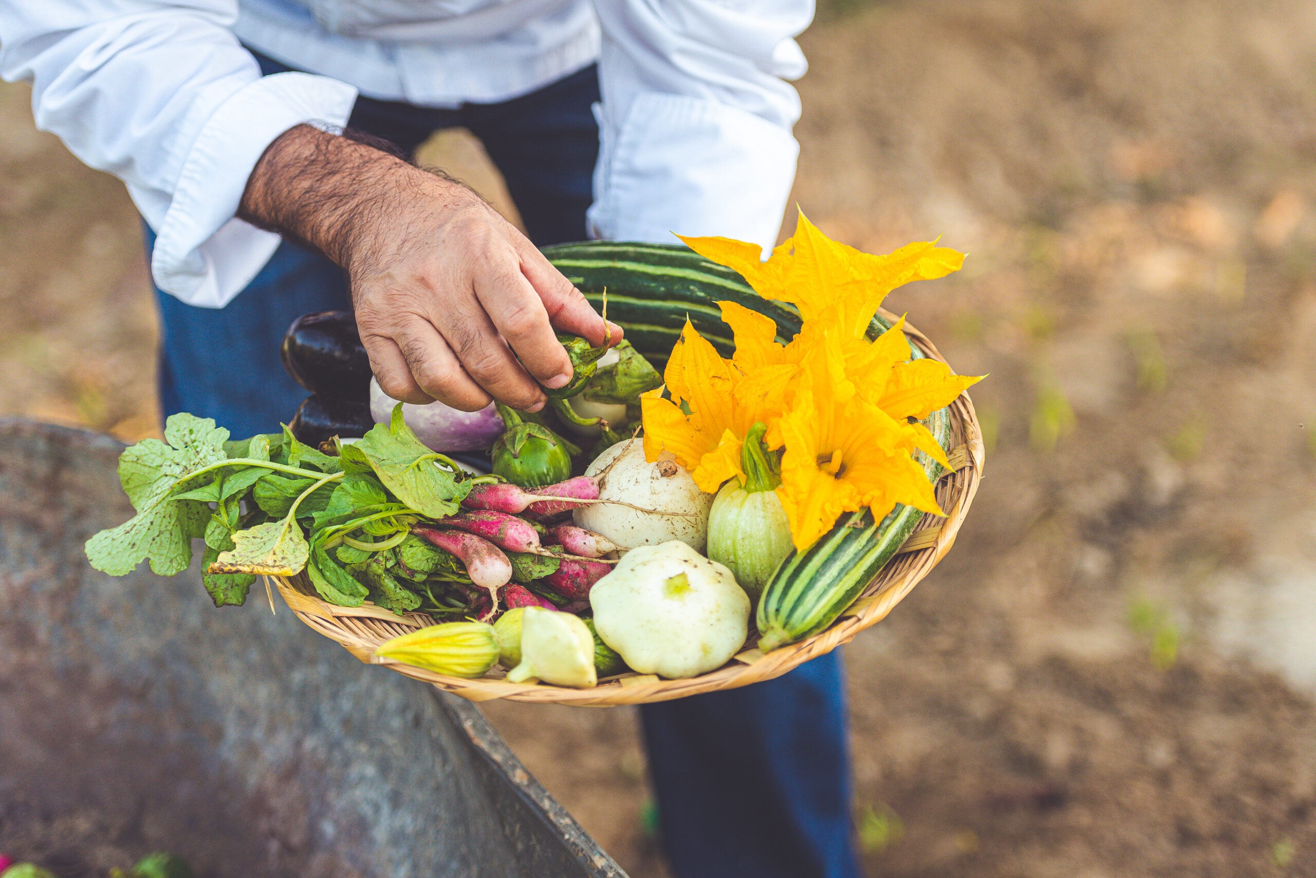 clean-eating-los-cabos