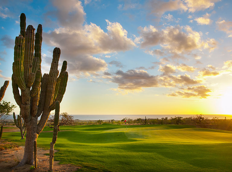 cabo-golf-scene