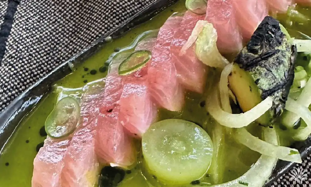 Destino-Los-Cabos-magazine-blog_el ganzo sashimi