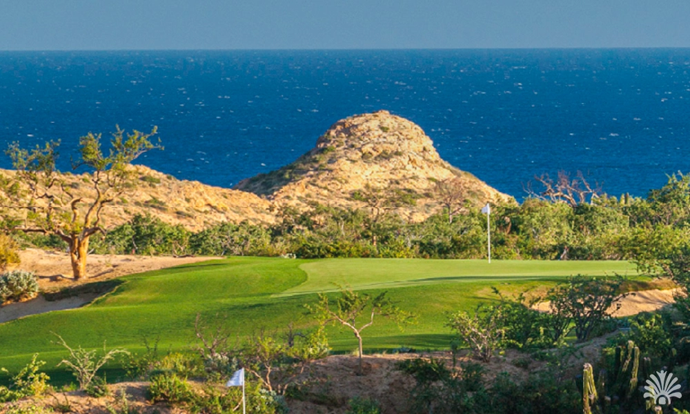 Destino-Los-Cabos-magazine-blog_golf 01