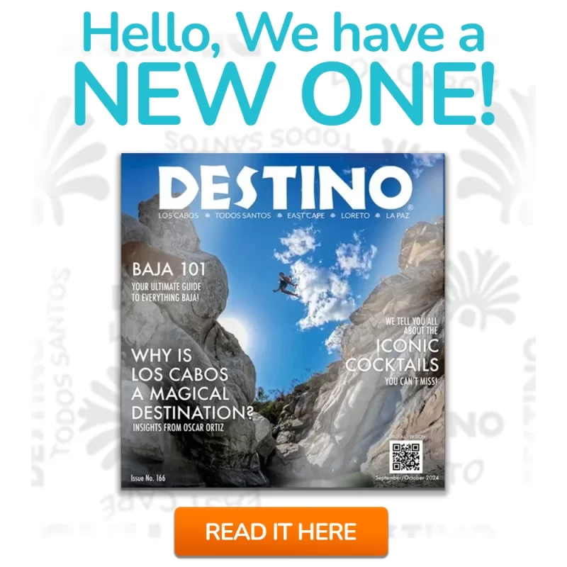 Destino-Los-Cabos-banner new issue