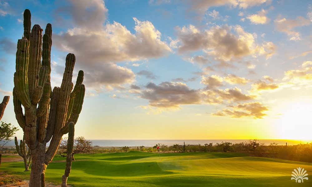 Destino-Los-Cabos-magazine-blog_Golf In Los Cabos_03