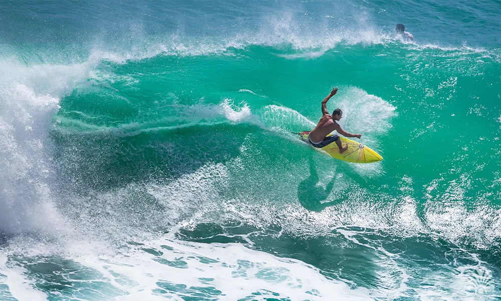 Destino-Los-Cabos-magazine_blog_Surfing in Los Cabos 02