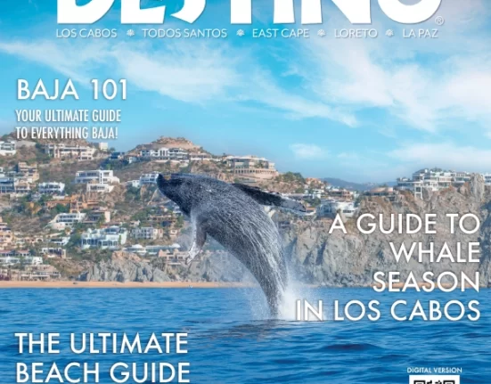 Destino-Los-Cabos-New-Issue 2024_11-12