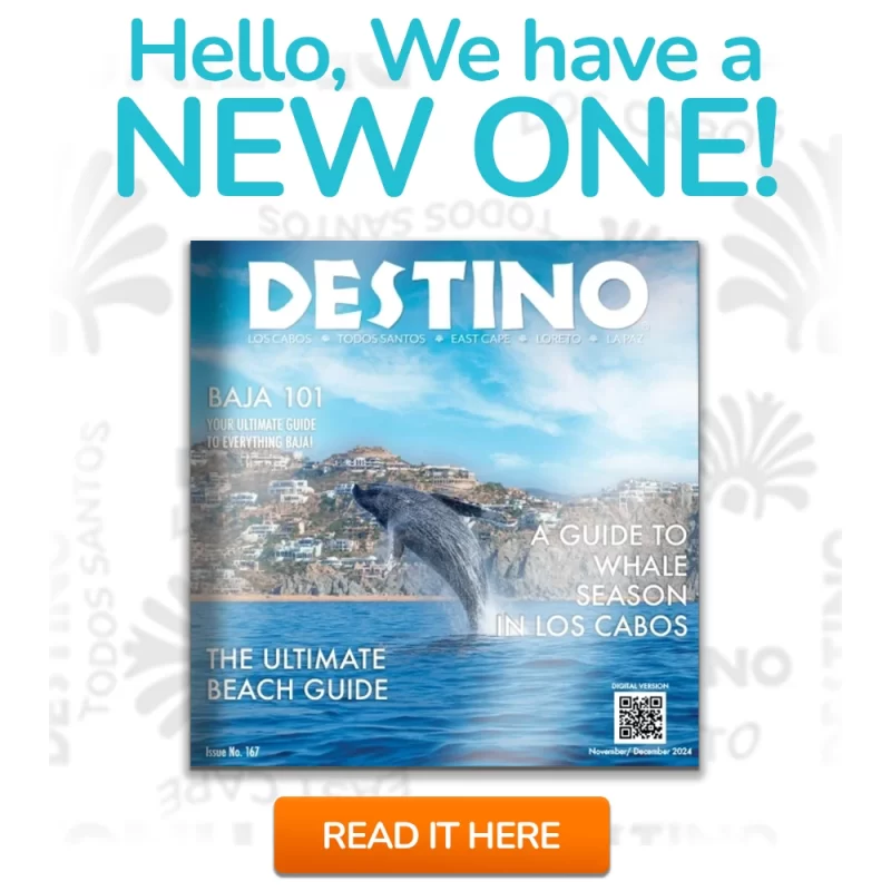 Destino-Los-Cabos-New-Issue 2024_11-12