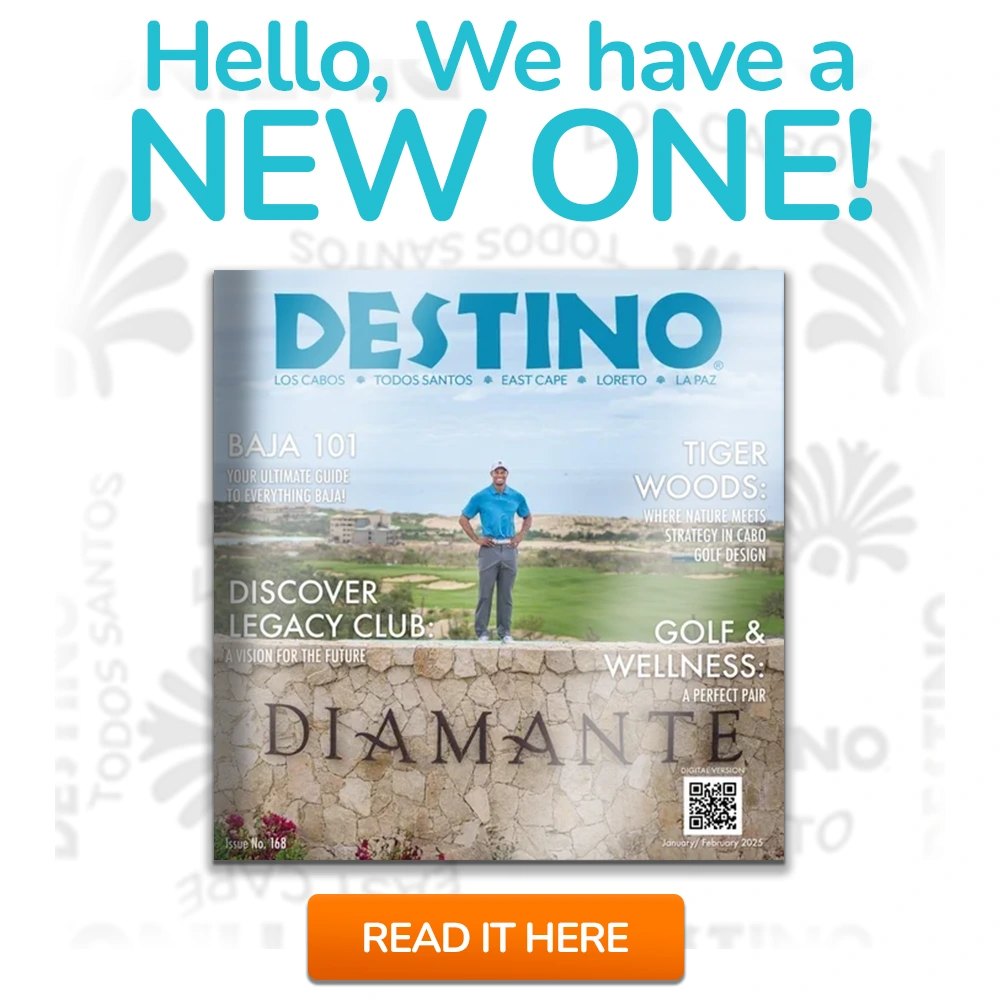 Destino-Los-Cabos-banner new issue