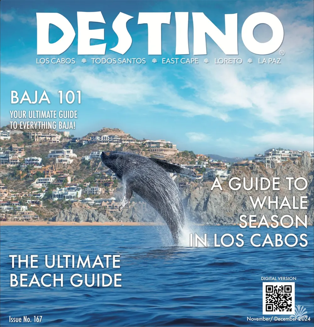 Destino-Los-Cabos-magazine_blog_D