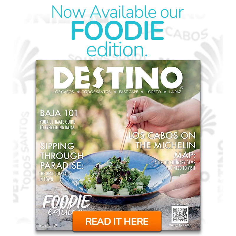 Destino-Los-Cabos-banner new issue