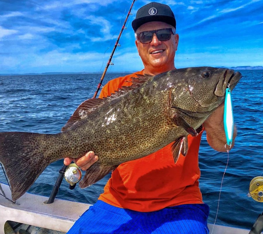 Mitch Chavira of San Diego caught this fat cabrilla to hit the jig just off Espirito Santo Island north of La Paz.
